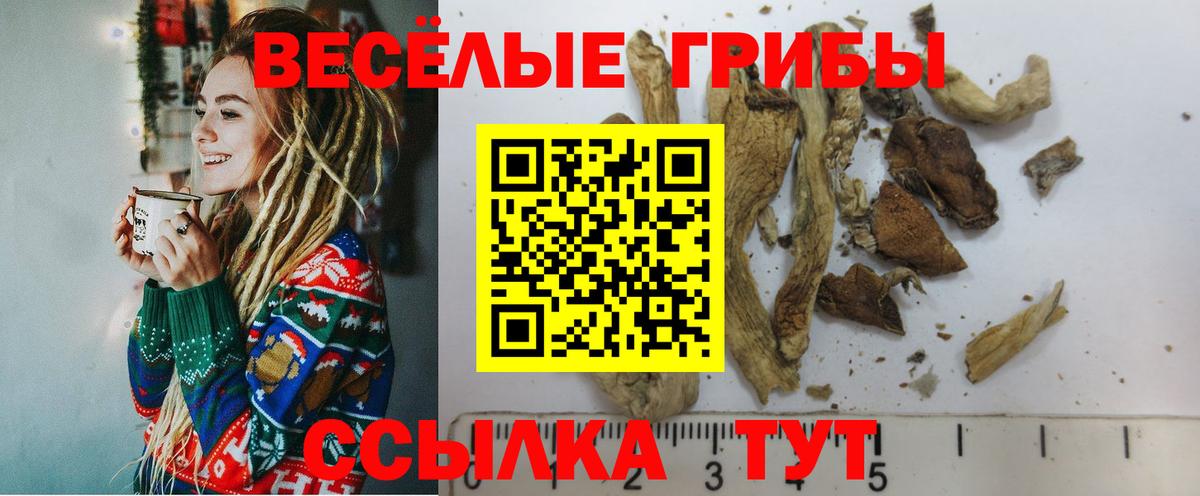 Галлюциногенные грибы мухоморы Мценск